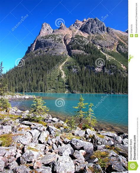 Lake O Hara Yoho National Park Canada Stock Photo Image Of