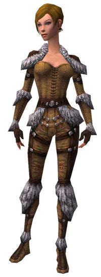 Ranger Elite Fur Lined Armor Guild Wars Wiki Gww