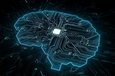 Ai Networks Based On Human Brain Connectivity Can Perform Cognitive Tasks