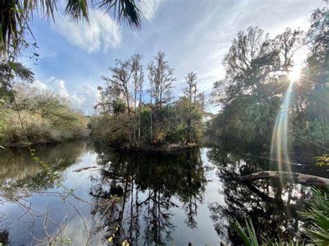 Best Hikes And Trails In Hillsborough River State Park Alltrails