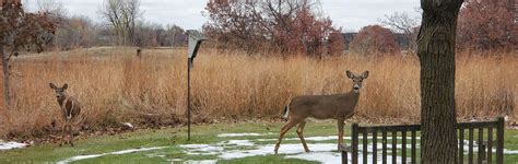 City Maps Arden Hills Mn Official Website