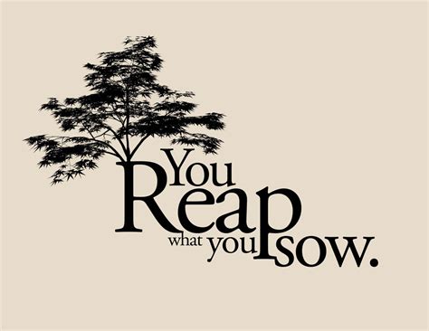 What a person sows now, they will reap in a future life. Quotes about Reap What You Sow (36 quotes)