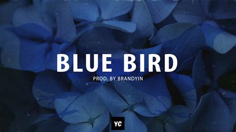 Naruto Blue Bird Trap Remix 2021 Prod By Brandyin Youtube