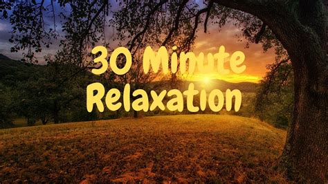 30 Minute Relaxation Calm Music Stress Relief Youtube
