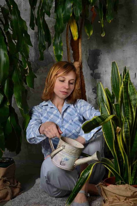 12 Tips To Keep Your Houseplants Healthy Ideas For Beginners