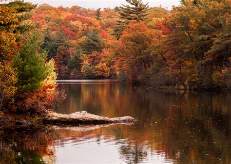 Peak Fall Color On Birch Pond Credit Jeff Folger Flickr