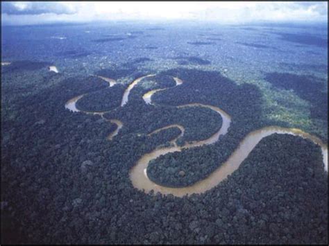Margys Musings The Amazon River