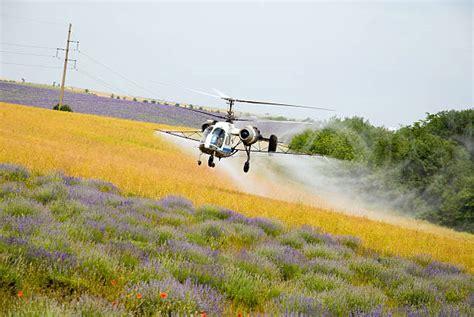 Helicopter Crop Spraying Stock Photos Pictures And Royalty Free Images