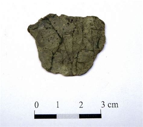 Метеорит Northwest Africa парный Nwa57448599 Музей истории мироздания