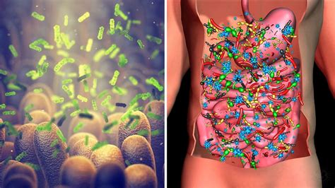 Researchers Discover Over 142000 Virus Species In The Gut Microbiome