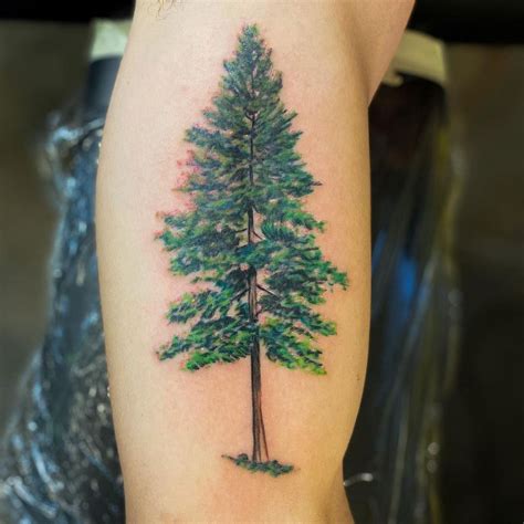 Ponderosa Pine Tattoo