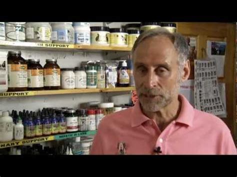 At the nashville pet spa, we treat every dog with an equal amount of love and care. Whiskers Holistic Pet Care - NYC Store - YouTube