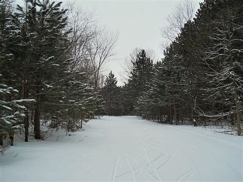 Kettle Moraine State Forest Ten Reasons It Is Awesome