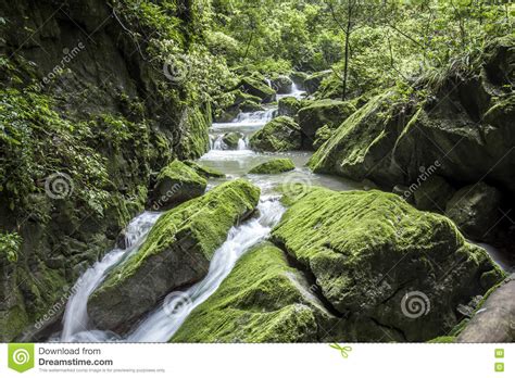Big Mossy Sandstone Boulder In Clear Mountain River Stock Image Image