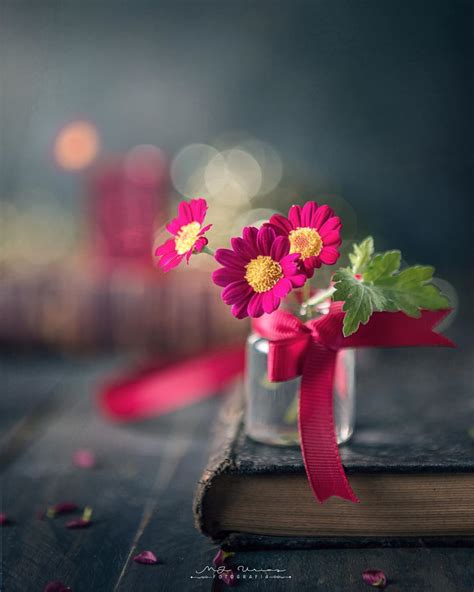Maria Jose Urios On Instagram Three Little Flowers