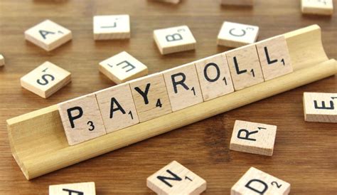 How Payroll Software Is Beneficial For A Small Business
