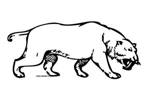 Coloring saber toothed tiger