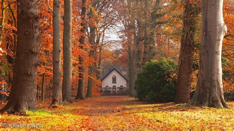 🍂witchy Autumns🌙 Autumn Scenery Autumn Scenes Autumn Inspiration