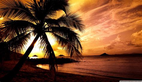 Tropical Sunset Wallpapers Wallpaper Cave