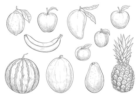 Premium Vector Fresh Exotic Fruits Sketch Vector Isolated Icons