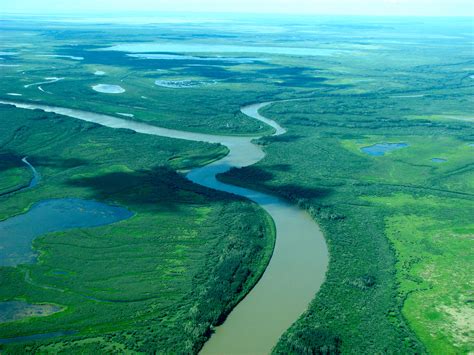 Athabasca River Delta Survey and Habitat Modelling Study ...