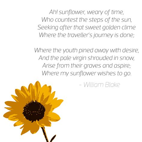 Ah Sunflower By William Blake The Life After Death