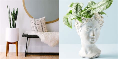 Check spelling or type a new query. 18 Stylish Indoor Flower Pots - Affordable Indoor Pots for ...