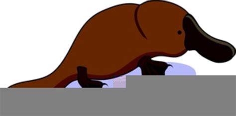 Free Platypus Clipart Free Images At Vector Clip Art