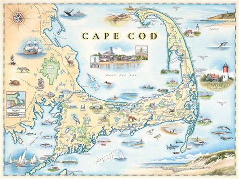 Cape Cod Poster Hand Drawn Map Of Cape Cod Xplorer Maps
