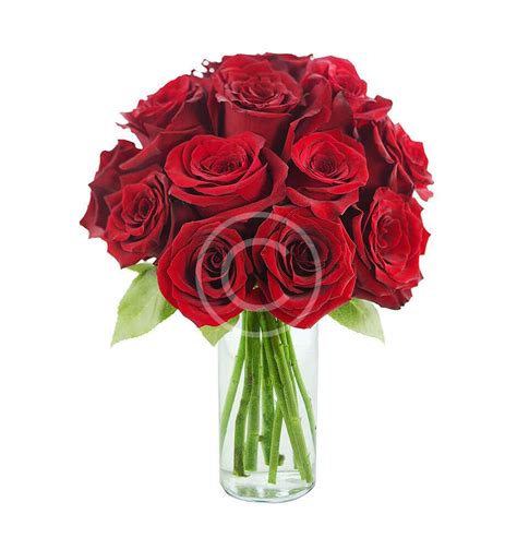 Il tuo indirizzo email non sarà pubblicato. Mazzo di Rose Rosse - Fiorista Milano