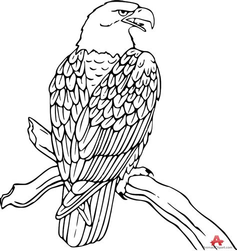 Line Drawing Eagle At Getdrawings Free Download