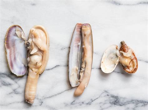 A Guide To Clam Types And What To Do With Them