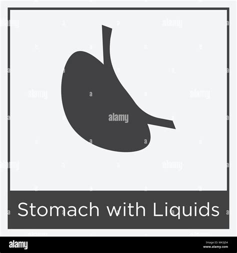 Stomach With Liquids Icon Isolated On White Background With Gray Frame