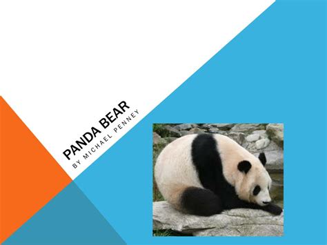 Ppt Panda Bear Powerpoint Presentation Free Download Id2530335