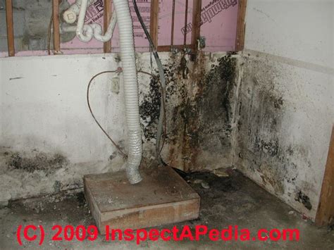 How to get rid of and prevent mold growth on concrete environix concrete basement walls concrete basement floors mold in basement. What does black mold look like - toxic black mold growth