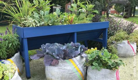 Making Urban Agriculture More Accessible With Table Gardens Garden