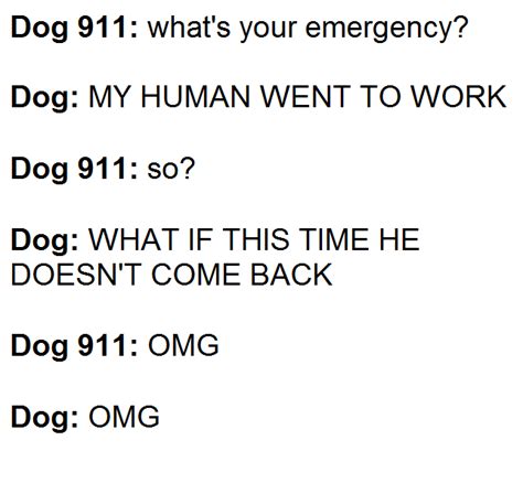 Dog 911 Dogs Know Your Meme