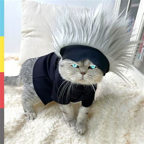 buy jujutsu kaisen gojo satoru themed cute cosplay costume  cat