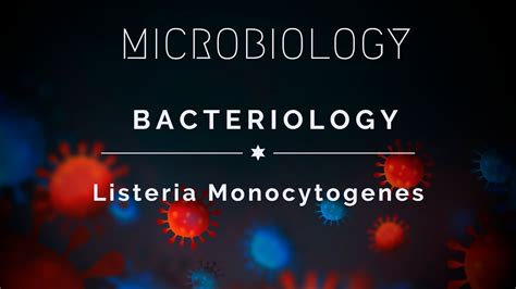 Bacteriology Listeria Monocytogenes Youtube