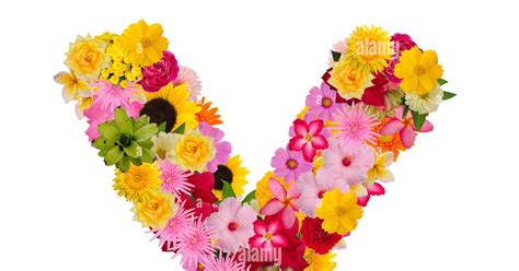 A Alphabet Flower Images Send A Bunch Of Personalized Alphabet Flower
