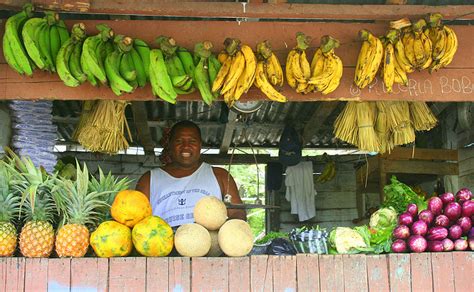 Dominican Republic Will Export Fruits And Vegetables To The Us Without