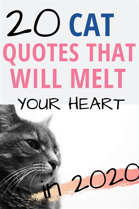 20 Cat Quotes That Will Melt Your Heart Cat Quotes Cat Quotes Funny