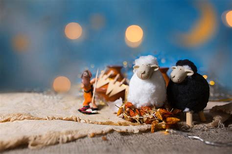 حددت وزارة الشؤون الإسلامية بالمملكة العربية السعودية، اليوم الثلاثاء، موعد إقامة صلاة عيد الفطر المبارك، لتكون بعد شروق الشمس بـ15 دقيقة، من يوم ال20 يوليو المقبل والذي يتوافق مع يوم العاشر من ذوي. كم باقي على عيد الأضحى 2021 - متى العيد الكبير - ثقفني