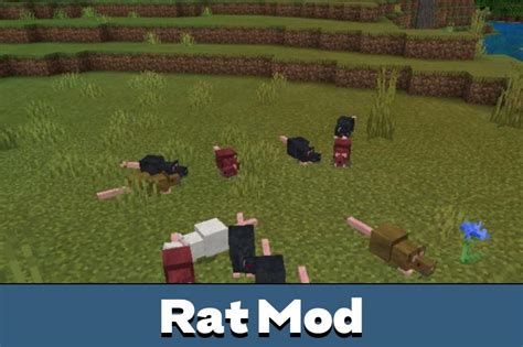 Download Rat Mod For Minecraft Pe My Apk Download