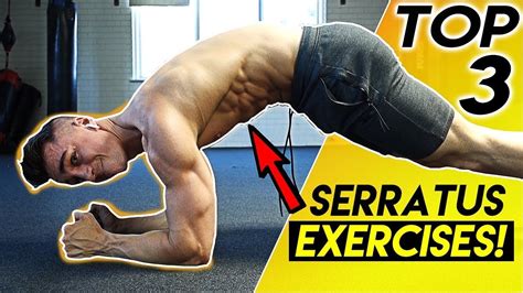 Serrauts Anterior Workout Serratus Anterior Exercises Shirtless Guys