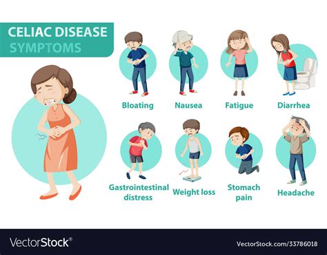 Celiac Disease Symptoms Information Infographic Vector Image