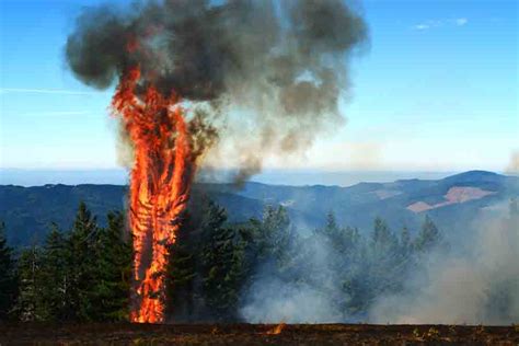 Prescribed Fire On Rogue River Siskiyou Nf Wildfire Today