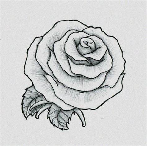 Realistic Rose Bud Drawings Drawings Of Roses How To Draw A Rose Step