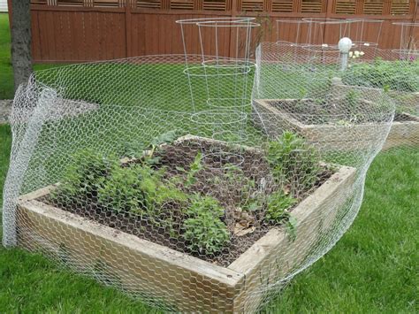 20 Things To Know About Vegetable Garden Fence Chicken Wire House