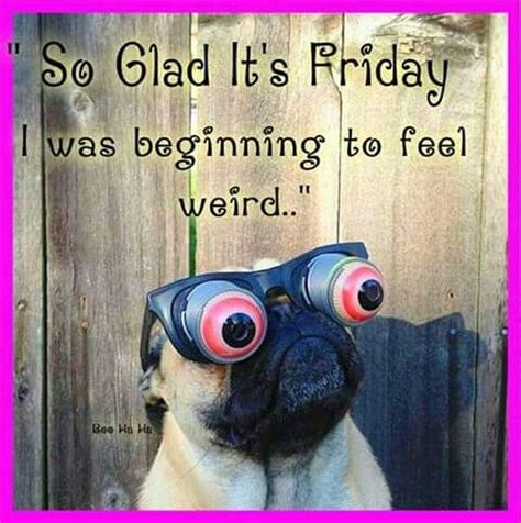 So Very Glad Friday Its Friday Quotes Morning Quotes Funny Friday